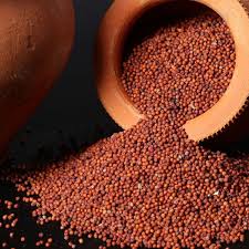 Ragi for Weight Loss: Benefits, Diet Plan & How to Eat It Right